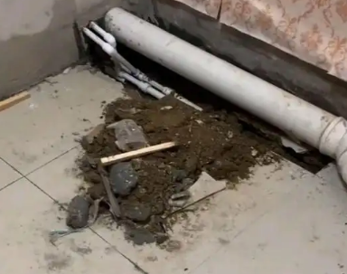 噶尔卫生间漏水检测哪家好